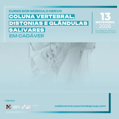Coluna Vertebral
